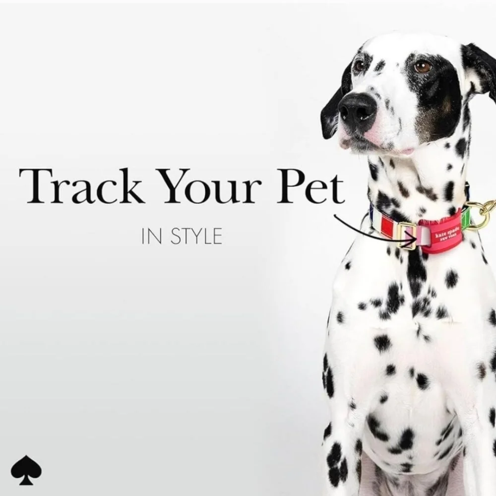 Kate Spade Vibrant Red Dog Collar AirTag Holder NIP